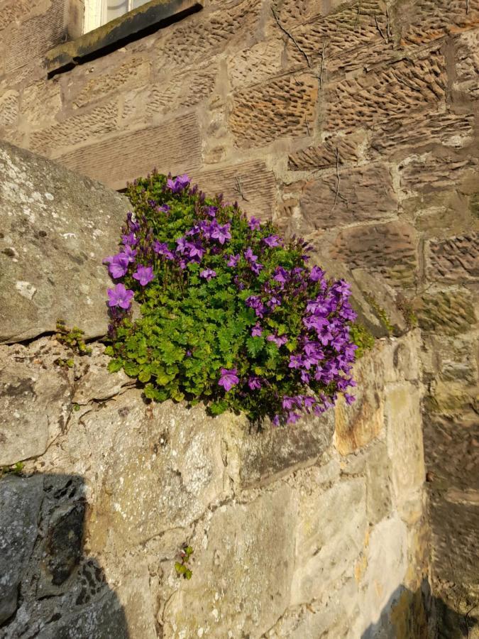 Burntisland Garden Apartment, Fife - 40 Mins To Edinburgh Exterior photo